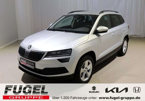 Skoda Karoq, 2020