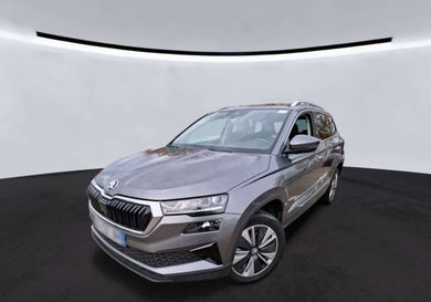 Skoda Karoq, 2023