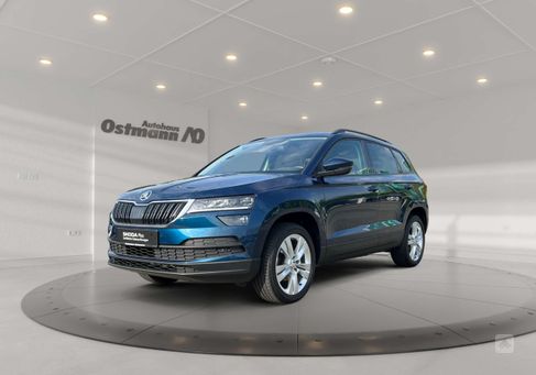 Skoda Karoq, 2019